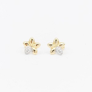 18K Yellow Gold Earrings [XE-503]