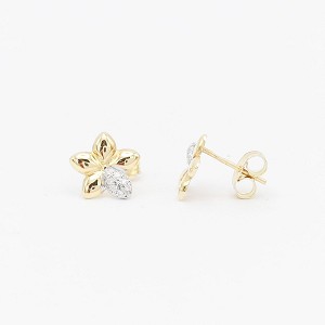 18K Yellow Gold Earrings [XE-503]