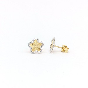 18K Yellow Gold Earrings [XE-490]