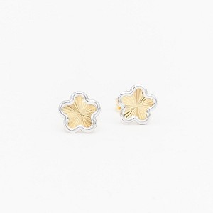 18K Yellow Gold Earrings [XE-490]